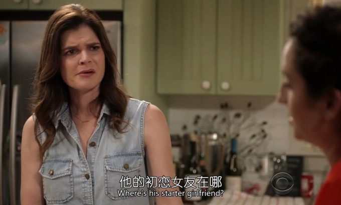 生活点滴 第一季 Life in Pieces Season 1