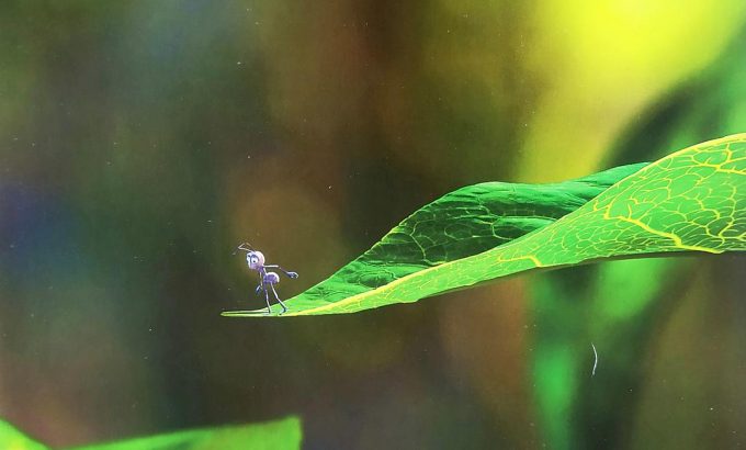 虫虫危机 A Bug's Life