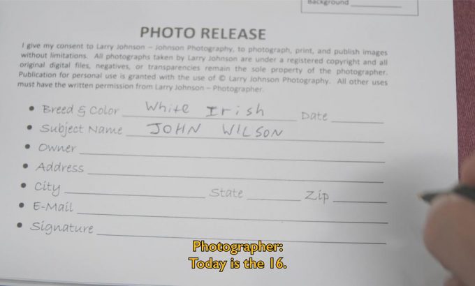 约翰·威尔逊的十万个怎么做 第三季 How to with John Wilson Season 3