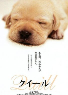 导盲犬小Q クイール