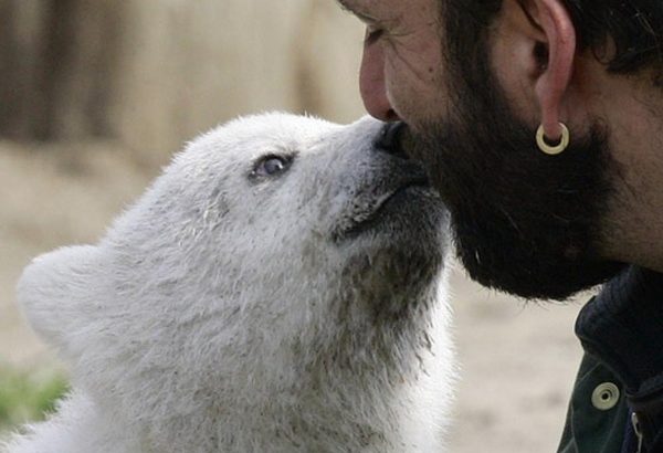 克努特和它的朋友们 Knut und seine Freunde