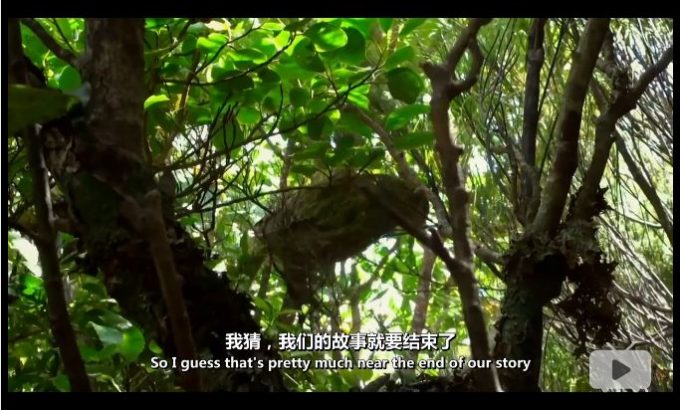 新西兰：神话之岛 New Zealand: Earth’s Mythical Islands