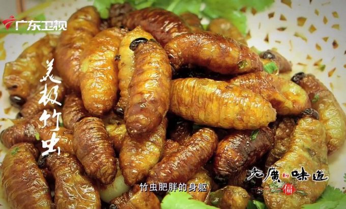 老广的味道 第一季