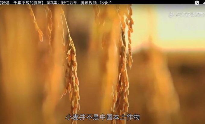 敦煌，千年不散的宴席
