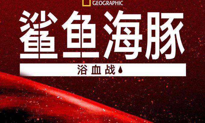 鲨鱼海豚浴血战 Sharks vs. Dolphins: Blood Battle