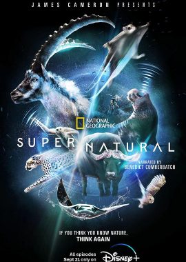 超凡动物奇观 Super/Natural