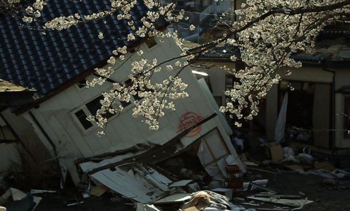 海啸与樱花 The Tsunami and the Cherry Blossom