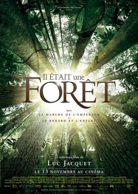 从前有座森林 Il était une Forêt