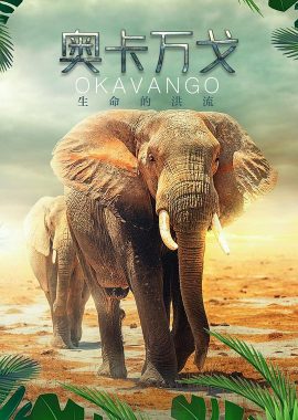 奥卡万戈：生命的洪流 Okavango: A Flood of Life