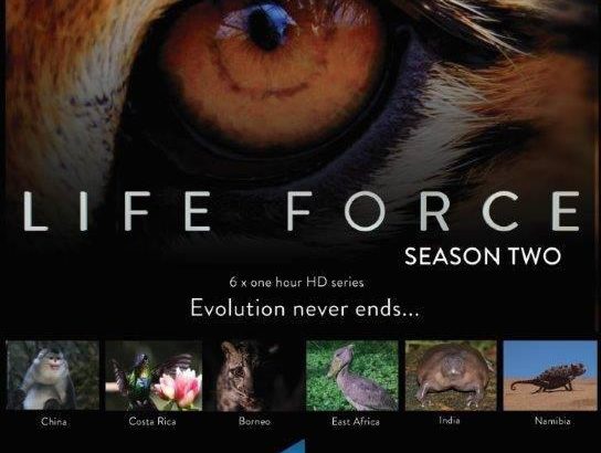 生命的力量 第二季 Life Force II