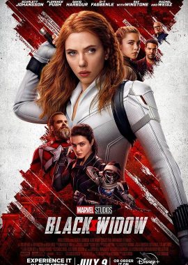 黑寡妇 Black Widow
