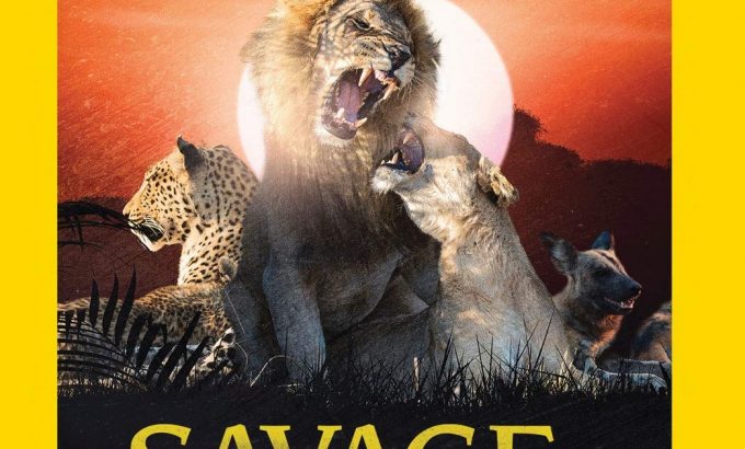 野蛮王国 第四季 Savage Kingdom Season 4