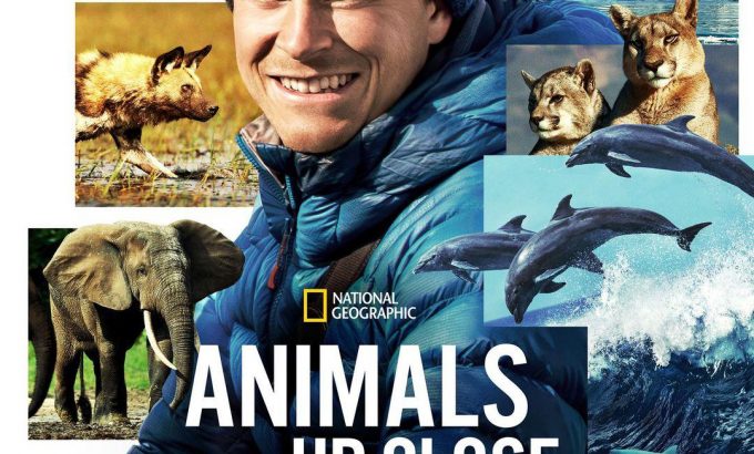 贝尔蒂·格雷戈里：与动物零距离 Animals Up Close with Bertie Gregory
