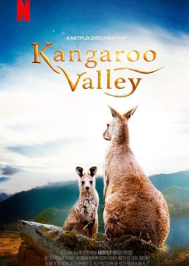 袋鼠谷 Kangaroo Valley