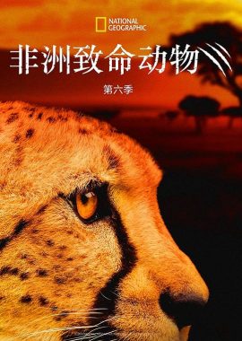 非洲致命动物 第六季 Africa's Deadliest