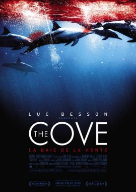 海豚湾 The Cove