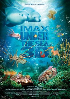 海底世界3D Under the Sea 3D