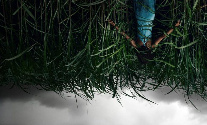高草丛中 In the Tall Grass