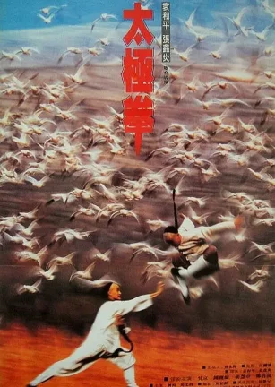 功夫小子闯情关