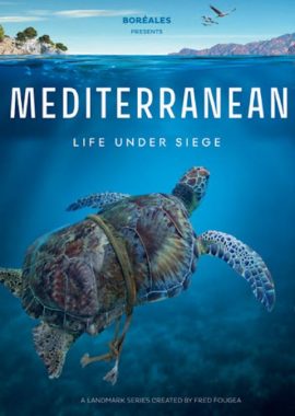 地中海 Mediterranean: Life Under Siege