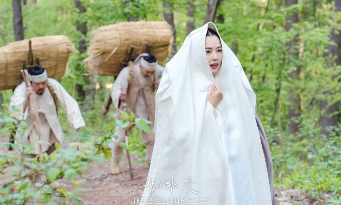 夜晚开的花 밤에 피는 꽃