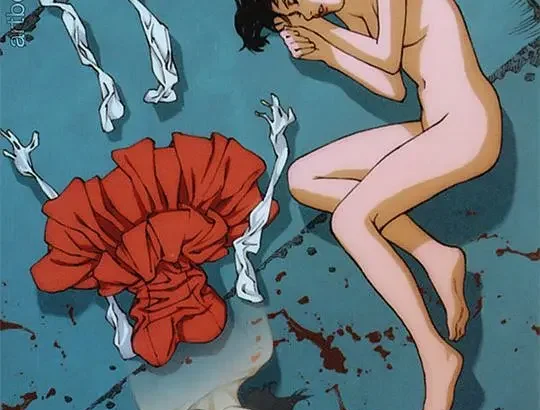 未麻的部屋 Perfect Blue