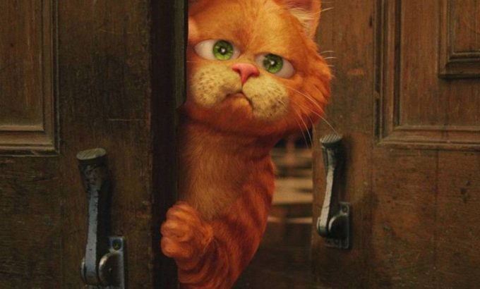 加菲猫 Garfield
