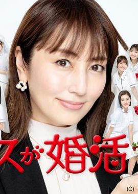 护士的征婚 ナースが婚活