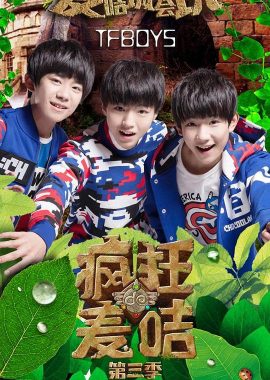 疯狂的麦咭 第三季