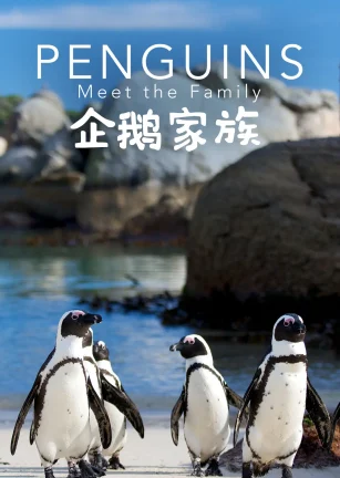 企鹅家族 Penguins: Meet the Family