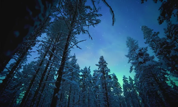 夜色中的地球 第一季 Earth at Night in Color Season 1
