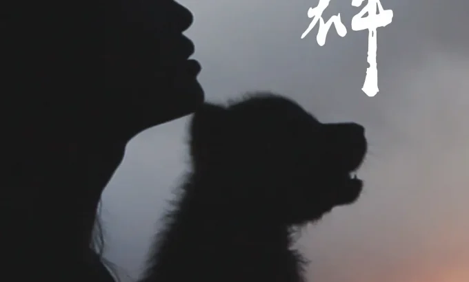 重返狼群——10周年纪念版