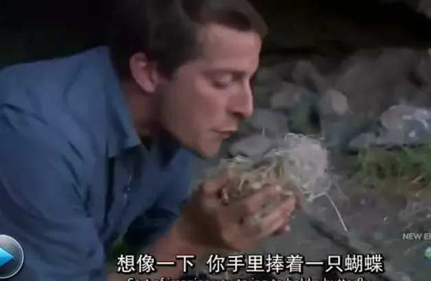 荒野求生  第三季 Man vs. Wild Season 3