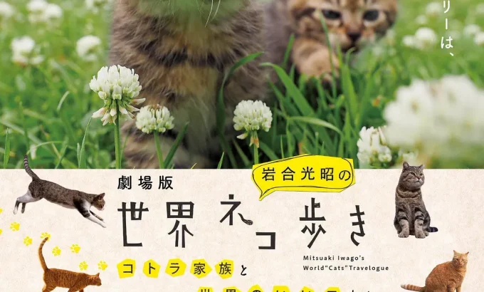捉喵记 劇場版 岩合光昭の世界ネコ歩き コトラ家族と世界のいいコたち