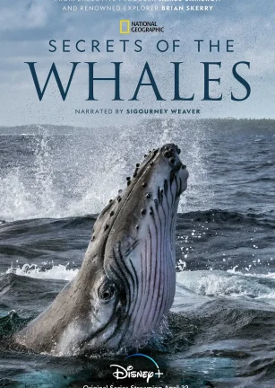 鲸的秘密 Secrets of the Whales