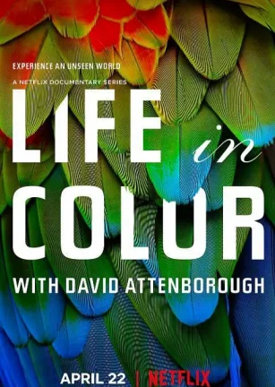 生命之色 Life In Colour