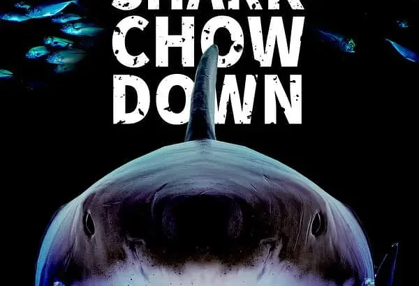 鲨鱼进食秀 Great Shark Chow Down