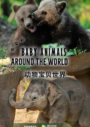 动物宝贝世界 Baby Animals Around the World