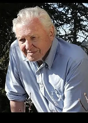 爱登堡和蚂蚁王国 Attenborough and the Empire of the Ants
