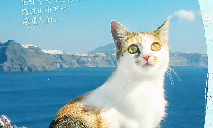 捉喵记 劇場版 岩合光昭の世界ネコ歩き コトラ家族と世界のいいコたち