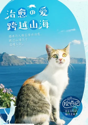 捉喵记 劇場版 岩合光昭の世界ネコ歩き コトラ家族と世界のいいコたち
