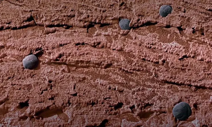 漫游火星 Roving Mars