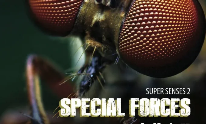 动物特种部队 第一季 Animal Special Forces Season 1