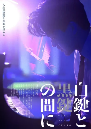 白键与黑键之间 白鍵と黒鍵の間に