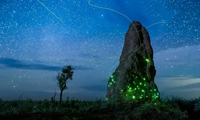 夜色中的地球 第一季 Earth at Night in Color Season 1