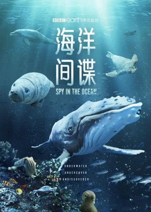 海洋间谍 Spy in the Ocean