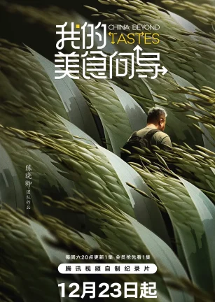 我的美食向导