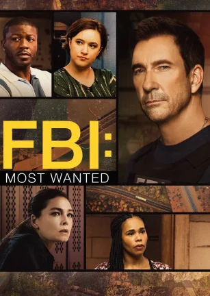 联邦调查局：通缉要犯 第五季 FBI: Most Wanted Season 5