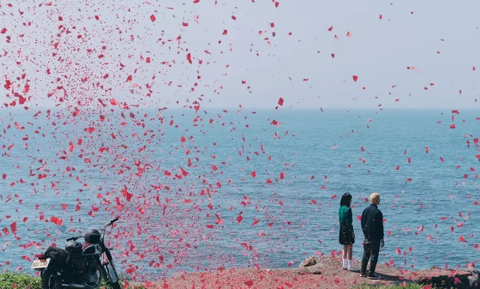 塑胶花 塑膠花