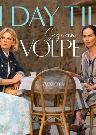 狐狸女士 第二季 Signora Volpe Season 2